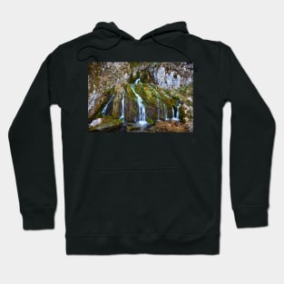 Waterfall on mossy rocks Hoodie